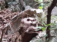 A조 산행,,
