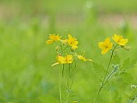 우리는 왜 여기에..