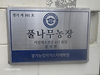2026년4월4일 봄..