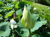 이제부터 너희는 ..