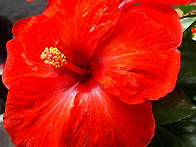 대천사 가브리엘의..