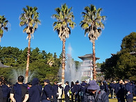 2019 제주올레걷기 축제