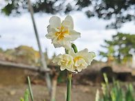 천지연폭포.성산포성당