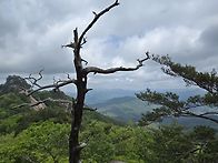 산속힐링살이