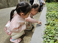 참새반의 실외놀이모습이에..