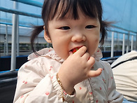 아기자람터 아이들과 딸기..