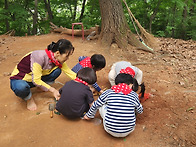 5월 25일 남한산성 (숲 ..