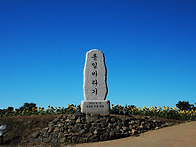 (연천) 호로고루성 해바라..