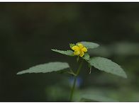 250912 유홍초를 목표로 ..