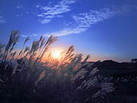황매산의 여명