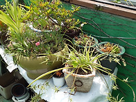 우리 풀밭 - 2026-8-4