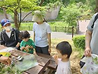 5.17(일) 용인 너울길 힐..