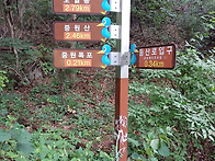 양평군.도일봉 (864m)산..