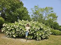 드림파크ᆢ1ㅋ