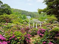 #불암산 포레스트..