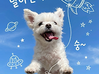 #꽃중의꽃 작약#..