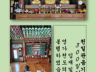 26년 천일 관음기..