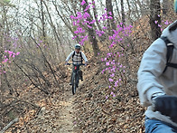 4월 2일 목요일 강고산 흥..