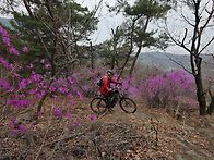 삼성산 진달래 라이딩