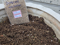 우리꺼가 좋아님 ..