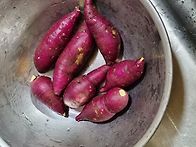 서서히 농부가 되..