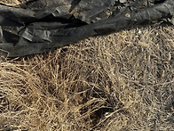 무경운 자연농 문..