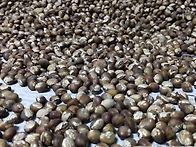 궁금증+안타까움?