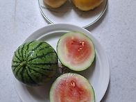 노란옥발이