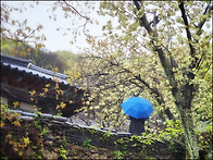 4월22일(화)서산 봄나들이..