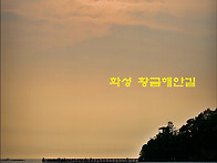화성 황금해안길 (2026...