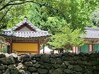 [2026년 8월 8일(토)] ..