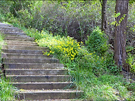 2025년11월2일 (일) 북한..