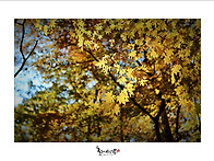 11월1일(토) 가을 북한산(..