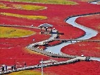 &#65339;2025.10.4~6&#65341;신안 천사..