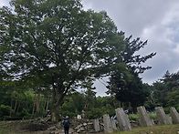 오드리햇반 대장님리딩.