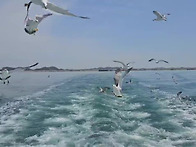 삼길포 춘계수련회 (202..