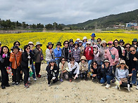 2025년 4월 전남 신안군 ..