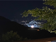 정토대학 동지까지 화엄경..