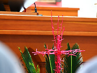 주님 수난 성지 주일(성지..