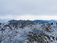 팔공산 신년산행