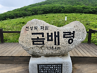 2026.5.23 점봉산 곰배령..