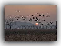 황혼이물들때면