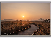 순천만 갈대숲 일몰