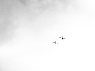 순천만 이야기 . .