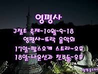 영평사구절초축제-2