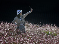 가을을 걷다