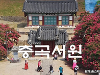 충곡서원배롱나무