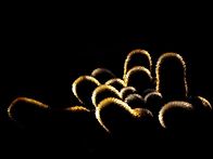 수요출사 열대 식물원