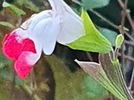 산책길에 만난 이쁜이들