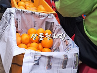 제주 가정용천혜향 세일